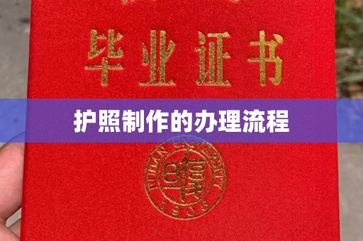 芎林护照制作的办理流程