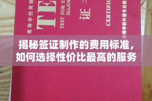 芎林揭秘签证制作的费用标准，如何选择性价比最高的服务？