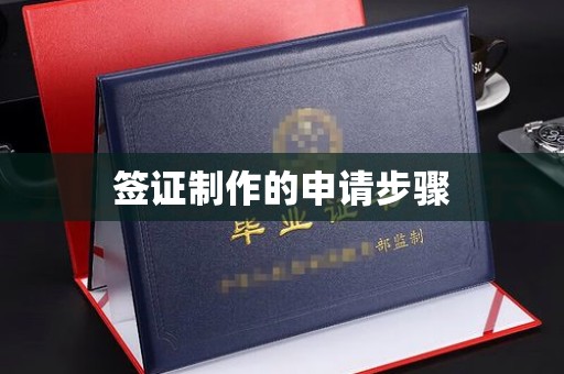 芎林签证制作的申请步骤