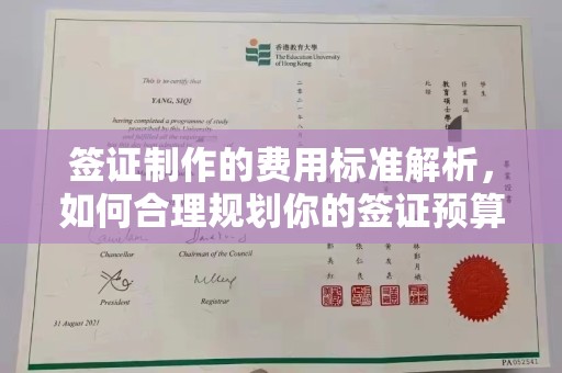 芎林签证制作的费用标准解析，如何合理规划你的签证预算