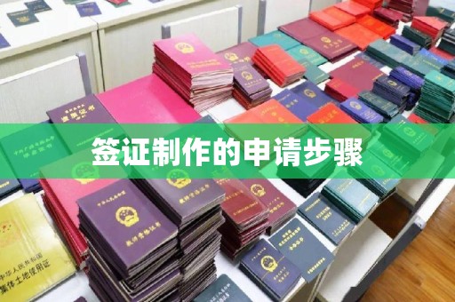 芎林签证制作的申请步骤