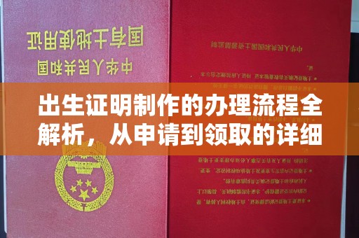 芎林出生证明制作的办理流程全解析，从申请到领取的详细指南